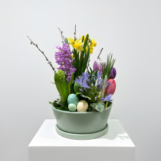 Spring Bulb Garden - Medium