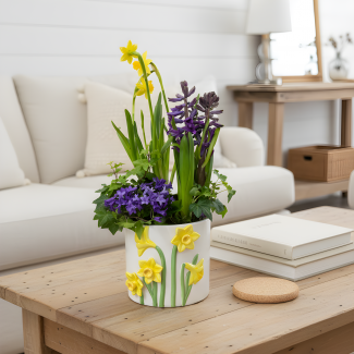  Spring Bulb Garden - Keepsake