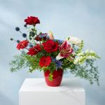 Red Zone - Arrangement