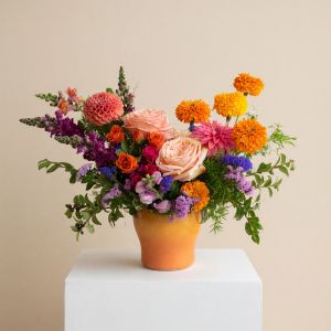 Marigold Fields - Arrangement