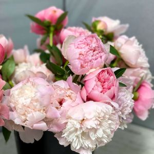 Local Peony Special Bouquet