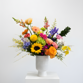 Coat of Many Colors - Arrangement