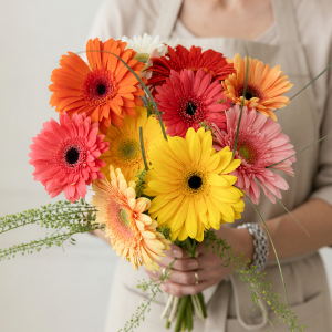 Gerbera Bouquet