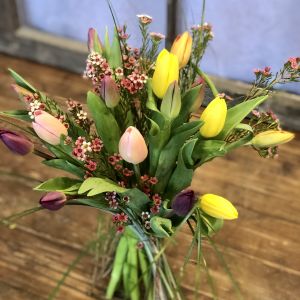 Tulips with Waxflower Bouquet