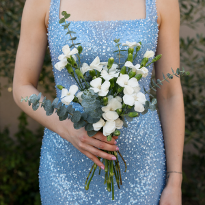 Dianthus Collection: Bouquet