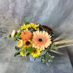 Pumpkin Spice - Arrangement