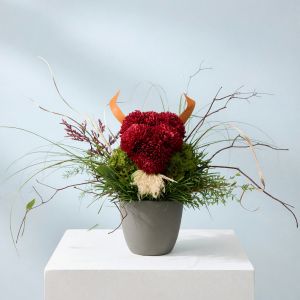 Buffalo - Arrangement