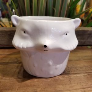 Foxy Face Planter