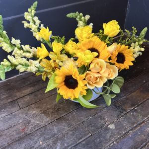 The Knox Collection : Arrangements